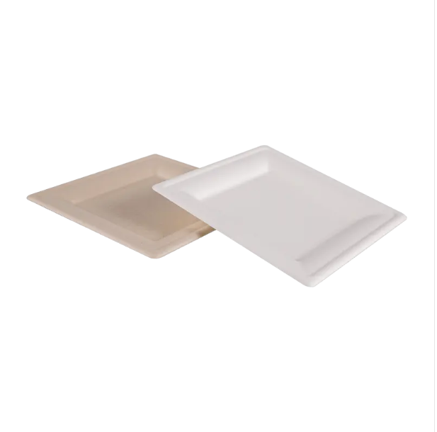 Why choose Eco-friendly Square Lunch Plate instead of traditional plastic plates?