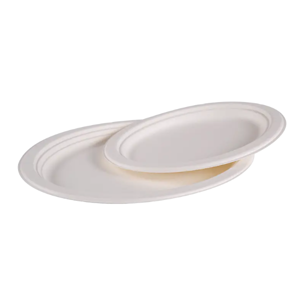What advantages can using the Disposable Bagasse Round Lunch Plate bring to your event?